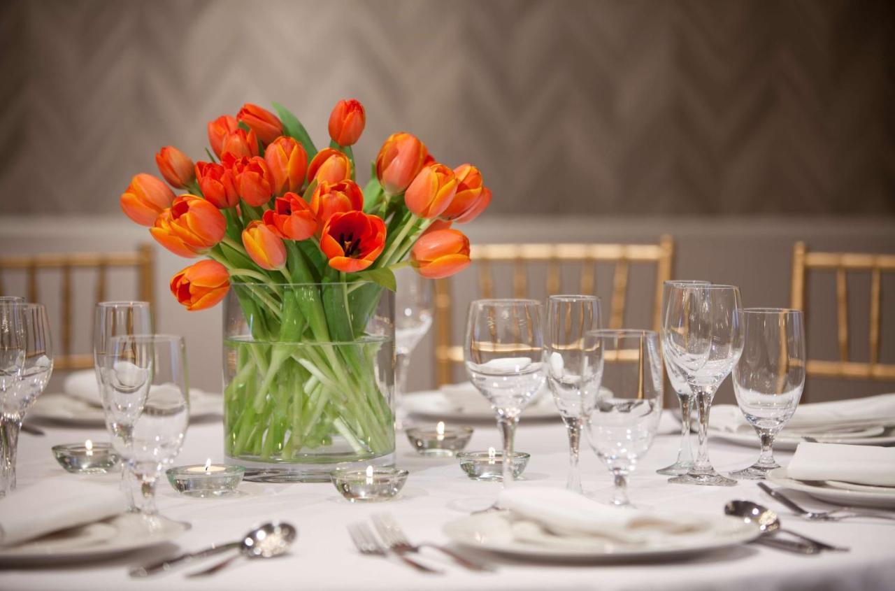 The Royal Sonesta Dc Dupont Circle Hotel Washington